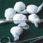 gauze swab cotton ball