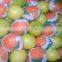 fresh organic adalia lemon