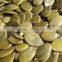 pumpkin seeds