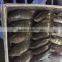 Chinese Frozen Black Tilapia /Chopa