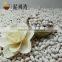 High quality white kidney beans Medium size 2016 crop