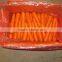 fresh Carrot shandong crop 80-150g in 10kg carton