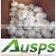 "high quality agriculture wholesale china natural garlic "