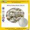 GMP factory supply White Kidney Bean Extract/Phaseolin powder