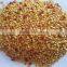 No.1 Popular Selling in Pakistan 99% Purity No Stone China Hybird Chilli Pepper Seeds