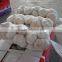 Grade A Jinxiang Red Garlic