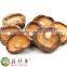 Shelf Life Dried Shiitake Mushroom Powder Extract