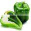 Non-edible Vegatable Seed For Planting Hybrid Bell Pepper Seed