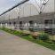 exhaust fan / vacuum fan/poultry greenhouse fan in China