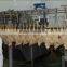 Baiyun Selling poultry Slaughtering Equipment