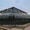 Venlo Tempered Glass/float Glass Greenhouse With Hydroponic Growing