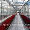Multi Span Polycarbonate Sheet Greenhouse