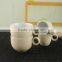 Tea Cup and Saucer Wholesale