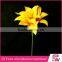 Wholesale Large Indoor Tropical Plants
