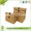 Promotional new design lunch bag Craft Paper Tyvek Ice Cooler Lunch Bags