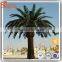 Artificial Palm Treel and Landscaping Golden Palm Tree Resort Promotion
