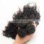 8A Grade Unprocessed Wholesale Virgin Brazilian Hair Wholesale Kinky Curly Brazilian Human Hair Weaves Extension