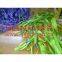 China supplier WLL2ton 2000kg Polyester webbing sling flat web sling band 6:1 7:1 8:1