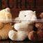 Cheap wholesale custom soft plush mini teddy bear toy keychain
