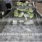 Industrial Automatic Vegetable Washing Machines Fruit Washer