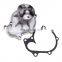 Water Pump 1K011-73034 1C010-73032 1C010-73430 for V3800 V3600