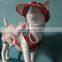 Impactful Apparel Fashion Custom Dresses 2021 Summer Brand Luxury Pet Christmas Clothes