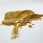 High quality Maitake mushroom extract 50% Maitake mushroom extract powder Grifola frondosa extract