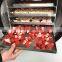 Small Mini Home Laboratory Vacuum Food Freeze Dryer