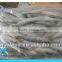 frozen fresh sardine