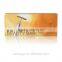 Korean Beauty Instrument Beauty Bar with Golden Box 24k Gold Facial Beauty Bar for Skin Care