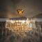 Raindrop And Lagre Crystal Chandelier for Hotels