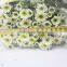 Fragrant aroma hot selling decorative flowers long stem chrysanthemum