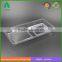 Rectangle clear disposable plastic blueberry fruit trays