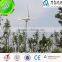 wide application 500w 12/24/48v AC wind generator /windmill for home made in china
