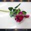 wholesale short stem red velvet rose flower