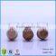 12ml Mini Clear Wide Mouth Glass Jar With Wooden Lid,Glass Bottle With Cork Stoppers