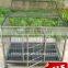 anping welded wire mesh for animal cage (factory)