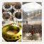 pipe fitting 3000# elbolet