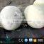 OAV2412 Real size dinosaur fossil egg for sale