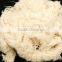 Roving Waste from best Quality Raw Cotton