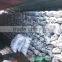 Khaya senegalensis (xaco) wood charcoal - best sell 2016 in UAE