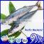 Frozen Mackerel Ice Fish Horse Mackerel Prices