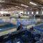 Large 4.5m Acrylic JY8803 balboa swim spa