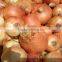Yellow Onions