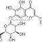 Top Quality Baicalin from Scutellaria Baicalensis Extract