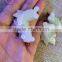 nephrite jade white jade stone crafts pendent magnolia flower pendent