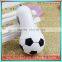 Football Shape USB Car Charger