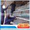 Low cost layer chicken cage for poultry house