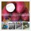 Home Use Small Capacity Sweet Potato Starch Making Machine with Cheap Price