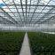 Plastic Film Greenhouse Covered By Polythene Film From China Supplier